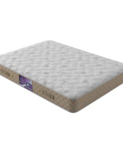 تشک سیف رست